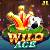 Wild Ace windream link games